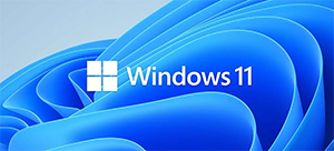 win 11